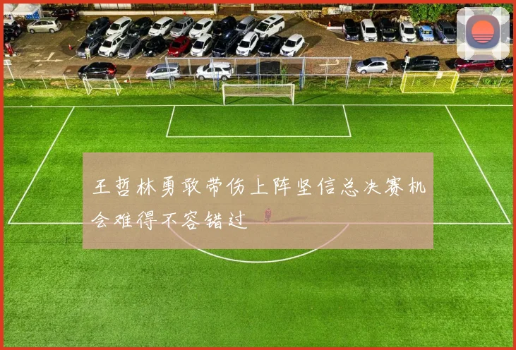 王哲林勇敢带伤上阵坚信总决赛机会难得不容错过
